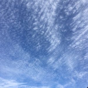 Meet your Posher, Siddiqa